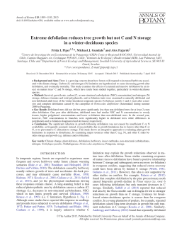 Extreme defoliation reduces tree growth but not C