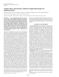 Atomic force microscopy captures length phenotypes in single proteins