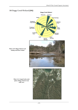 14 Boggy Creek Wetland (#6)