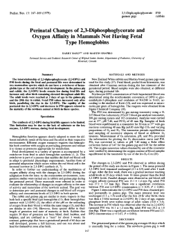 Oxygen Affinity in Mammals Not Having Fetal Type