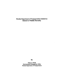 Florida Department of Transportation Initiatives Related to