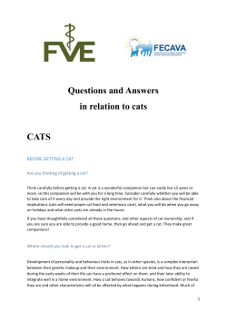 Questions and Answers in relation to cats CATS
