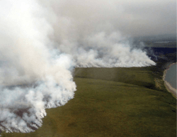 The Burning Tundra