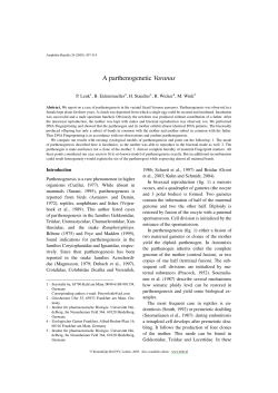 A parthenogenetic Varanus - Institute for Applied Ecology