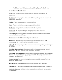 Food Chain, Food Web, Adaptations, Life Cycle, and Traits Review