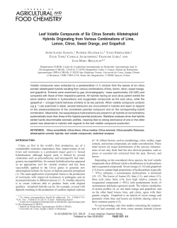 Leaf Volatile Compounds of Six Citrus Somatic Allotetraploid