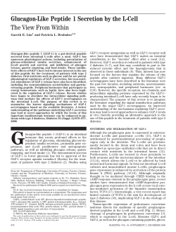 Glucagon-Like Peptide 1 Secretion by the L-Cell