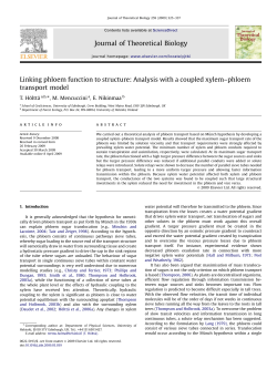 Linking phloem function to structure: Analysis with a coupled xylem