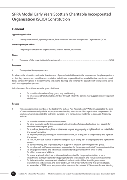 3-scio-constitution-style-1