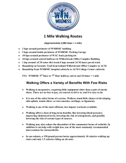 1 Mile Walking Routes