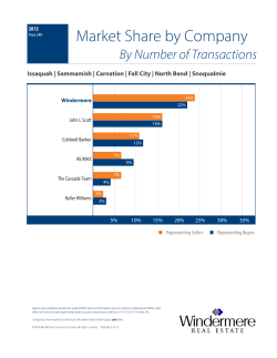 Market Share by Company