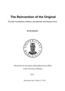 dr-thesis-2013-Bo-Byrkjeland - (BORA)