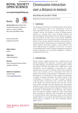 Chromosome interaction over a distance in meiosis