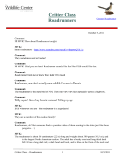 Critter Class Roadrunners - The Wildlife Center of Virginia