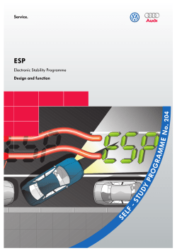204 - Electronic Stability Program (ESP)