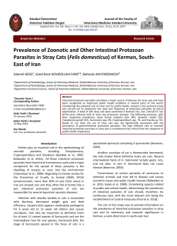 Prevalence of Zoonotic and Other Intestinal Protozoan Parasites in