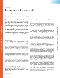 The evolution of the cytoskeleton
