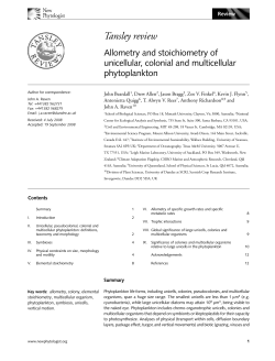 Allometry and stoichiometry of unicellular, colonial and multicellular