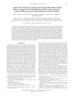 Atomic Force Microscopy Imaging and Electrical Recording of Lipid