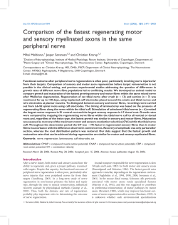 Comparison of the fastest regenerating motor and sensory
