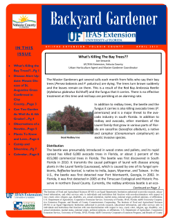 IN THIS ISSUE What`s Killing The Bay Trees??