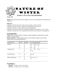 Nature of Winter