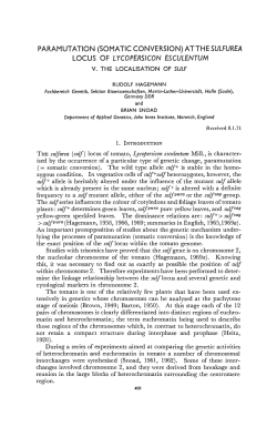 not retain a compact structure during interphase and