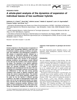 A whole-plant analysis of the dynamics of expansion of individual