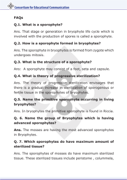 Consortium for Educational Communication