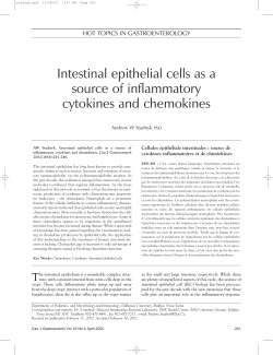 Intestinal epithelial cells as a source of inflammatory