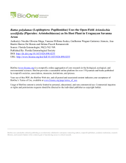 Battus polydamas (Lepidoptera: Papilionidae) Uses the