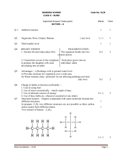 MARKING SCHEME CLASS X &ndash; BLIND Code No. 31/B Expected