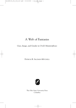 as a PDF