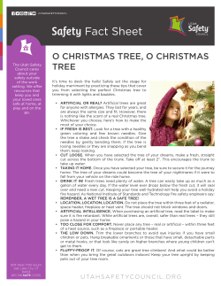 Safety Fact Sheet - Utah Safety Council