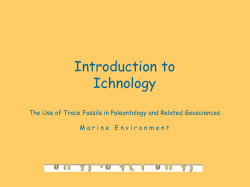 Introduction to Ichnology