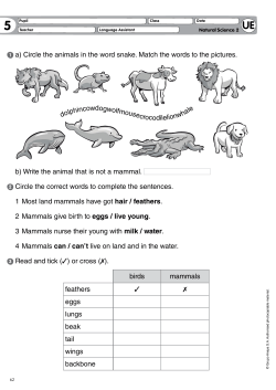 a) Circle the animals in the word snake. Match the words to the