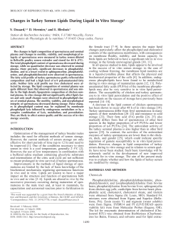 Changes in Turkey Semen Lipids During Liquid In Vitro Storage1