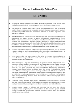 Estuaries - Devon County Council