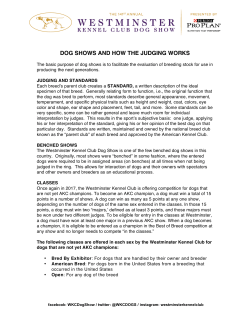 dog shows and how the judging works