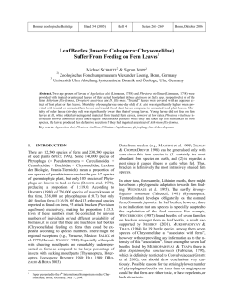 Leaf Beetles (Insecta: Coleoptera: Chrysomelidae)