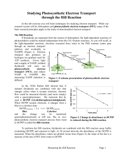 Studying Photosynthetic Electron Transport through the Hill Reaction