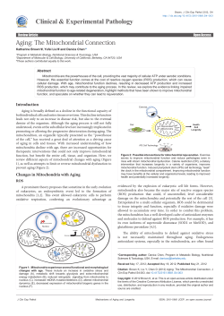 Peer-reviewed Article PDF