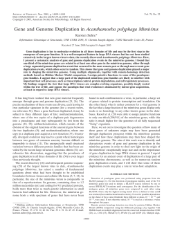 Gene and Genome Duplication in Acanthamoeba