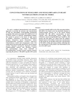 Myoglobin and myoglobin mRNA in fish heart