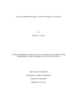 Janke - WLS Essay File