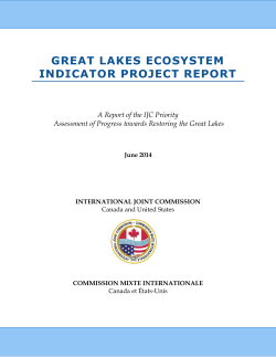Great Lakes Ecosystem Indicator Project Report