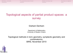 Topological aspects of partial product spaces: a