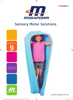 Sensory Motor Solutions