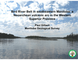 Bird River Belt in southeastern Manitoba: a Neoarchean volcanic arc