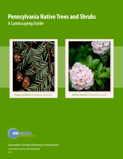Pennsylvania Native Trees and Shrubs